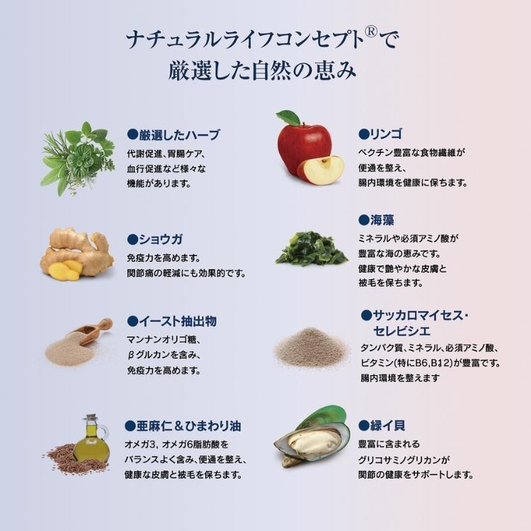ハッピードッグ 子犬用 ジュニア サーモン\u0026ポテト 10kg ヤング 無添加 無着色 グルテンフリー 皮膚被毛ケア 関節ケア_5