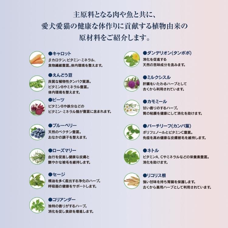 ハッピードッグ ジュニア ラム＆ライス 10kg HAPPY DOG 子犬用 ヤング 無添加 無着色 グルテンフリー 消化器ケア 関節ケア