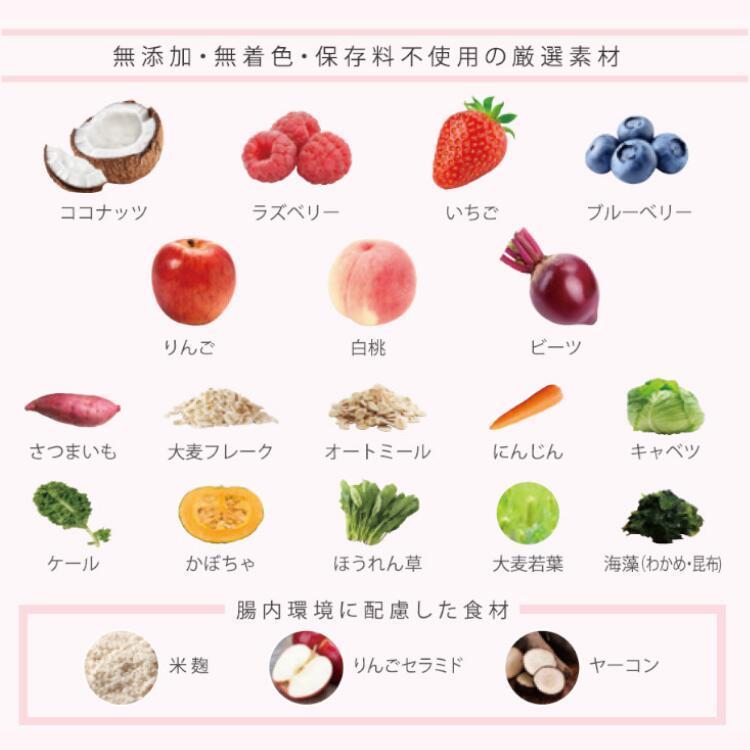 ベースデリ フルーツ 500g BASE DELI FRUITS 送料無料 愛犬用手作り