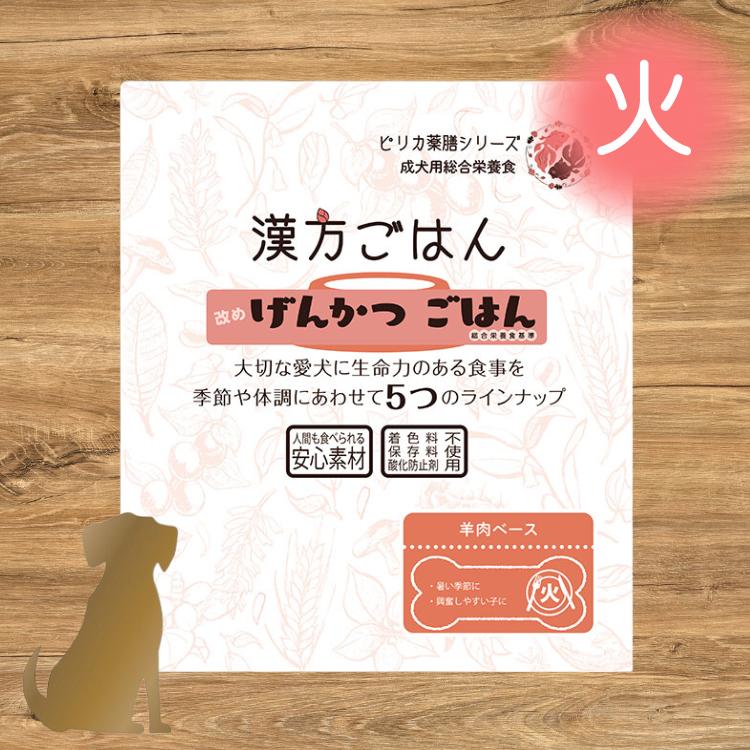 漢方ごはん げんかつごはん【 火（ 興奮しやすい子 / 暑い季節