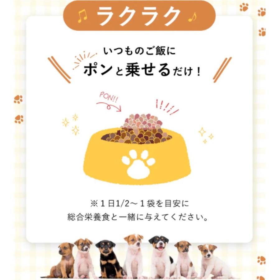 シルクフル ビーフ 犬用レトルト 100g ( 低リン 腎臓ケア 腸内ケア 低