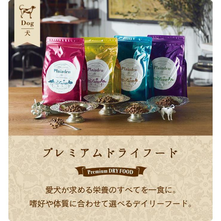 プレイアーデン【プレミアムケア】【小粒】3kg 犬用 プレミアム