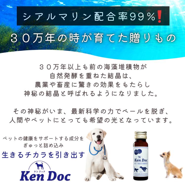 ケンドッグ 10箱 (10本入り×10) ペット用 シアルマリン 糖鎖栄養素