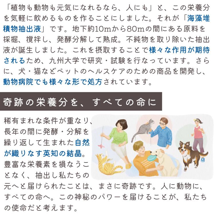 ケンドッグ 10箱 (10本入り×10) ペット用 シアルマリン 糖鎖栄養素