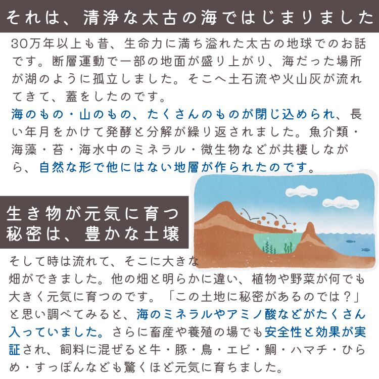 ケンドッグ 1箱 (10本入り) ペット用 シアルマリン 糖鎖栄養素