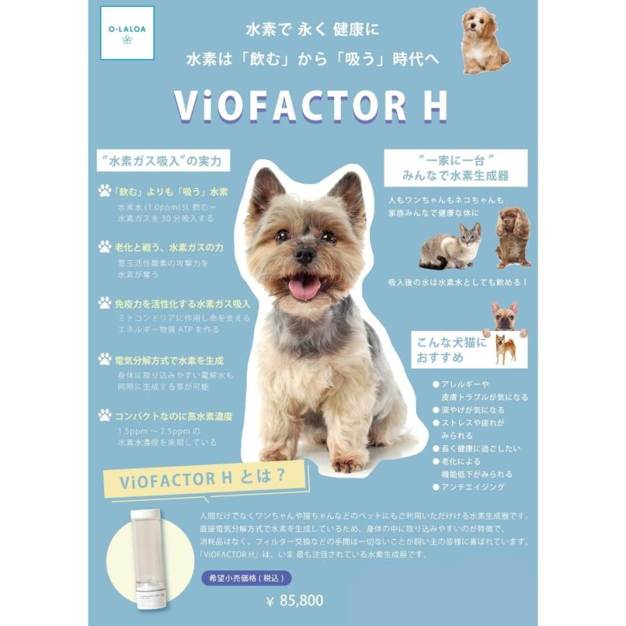 部品交換不要 水素 生成器 ( 水素ガス 吸入 水素水 水素発生 部品交換不要 水素 生成器 ( 水素ガス 吸入 水素水 水素発生