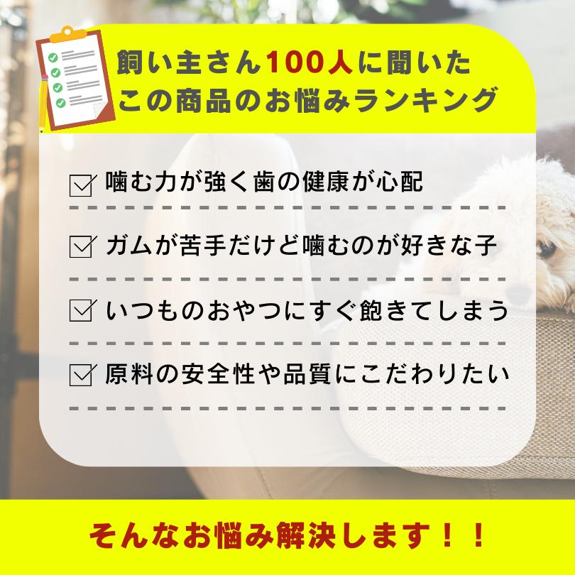 おいしい国産牛干し肉 80g×12袋 犬用ジャーキー 無添加 無着色 おやつ お試し |  | 02