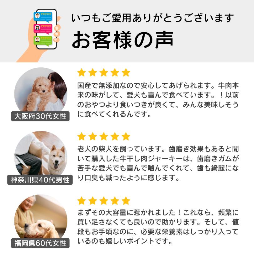 おいしい国産牛干し肉 80g×12袋 犬用ジャーキー 無添加 無着色 おやつ お試し |  | 09