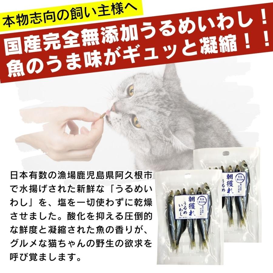 食塩無添加 朝獲れ うるめいわし 鹿児島県阿久根産 30g 4袋 10袋 30袋 犬用おやつ 猫用おやつ_1