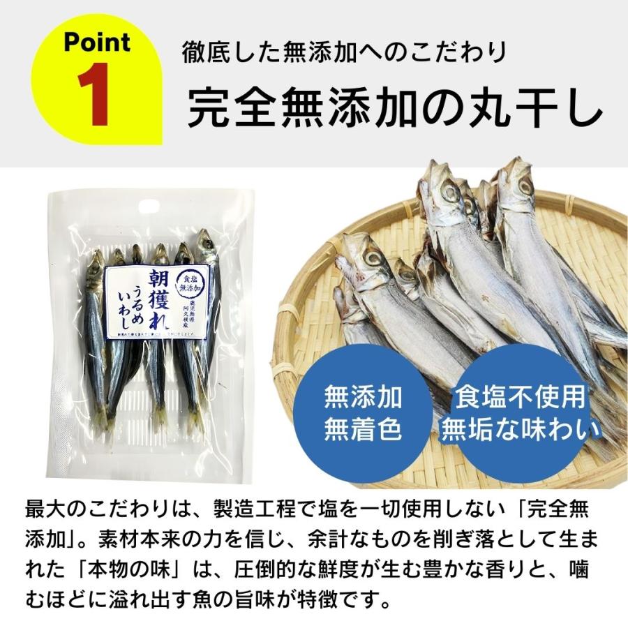 食塩無添加 朝獲れ うるめいわし 鹿児島県阿久根産 30g 4袋 10袋 30袋 犬用おやつ 猫用おやつ_2
