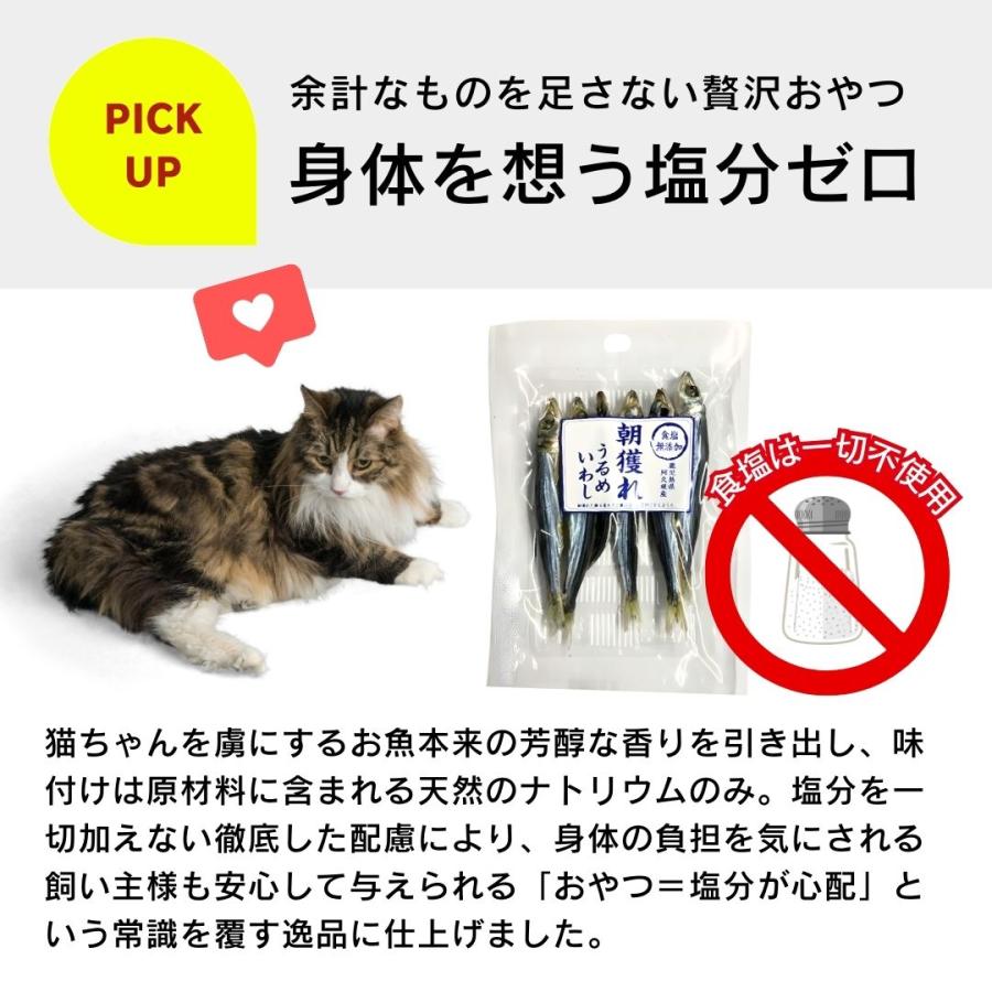 食塩無添加 朝獲れ うるめいわし 鹿児島県阿久根産 30g 4袋 10袋 30袋 犬用おやつ 猫用おやつ_3