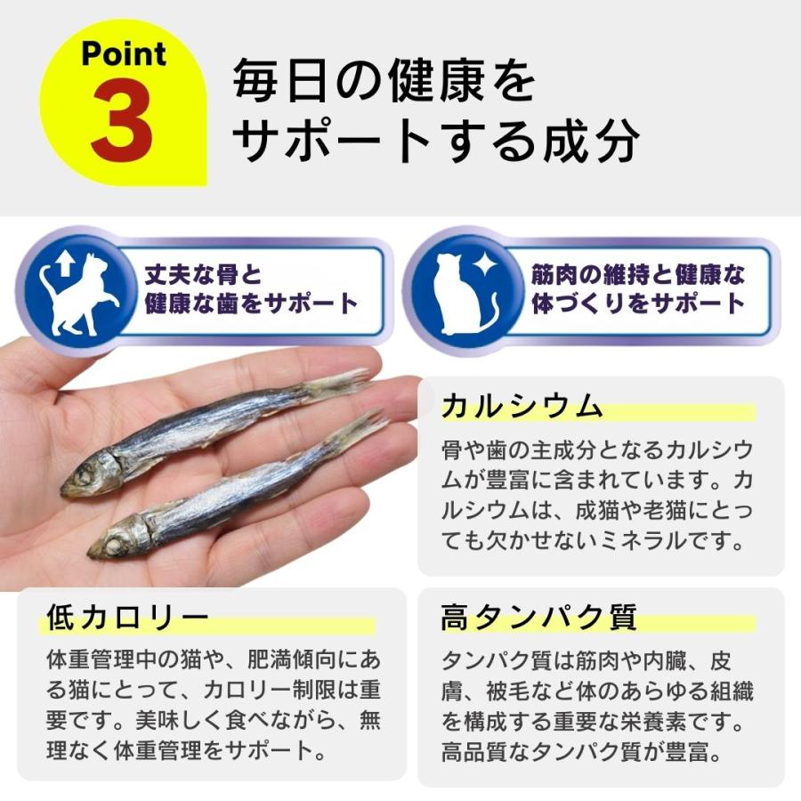 食塩無添加 朝獲れ うるめいわし 鹿児島県阿久根産 30g 4袋 10袋 30袋 犬用おやつ 猫用おやつ_5
