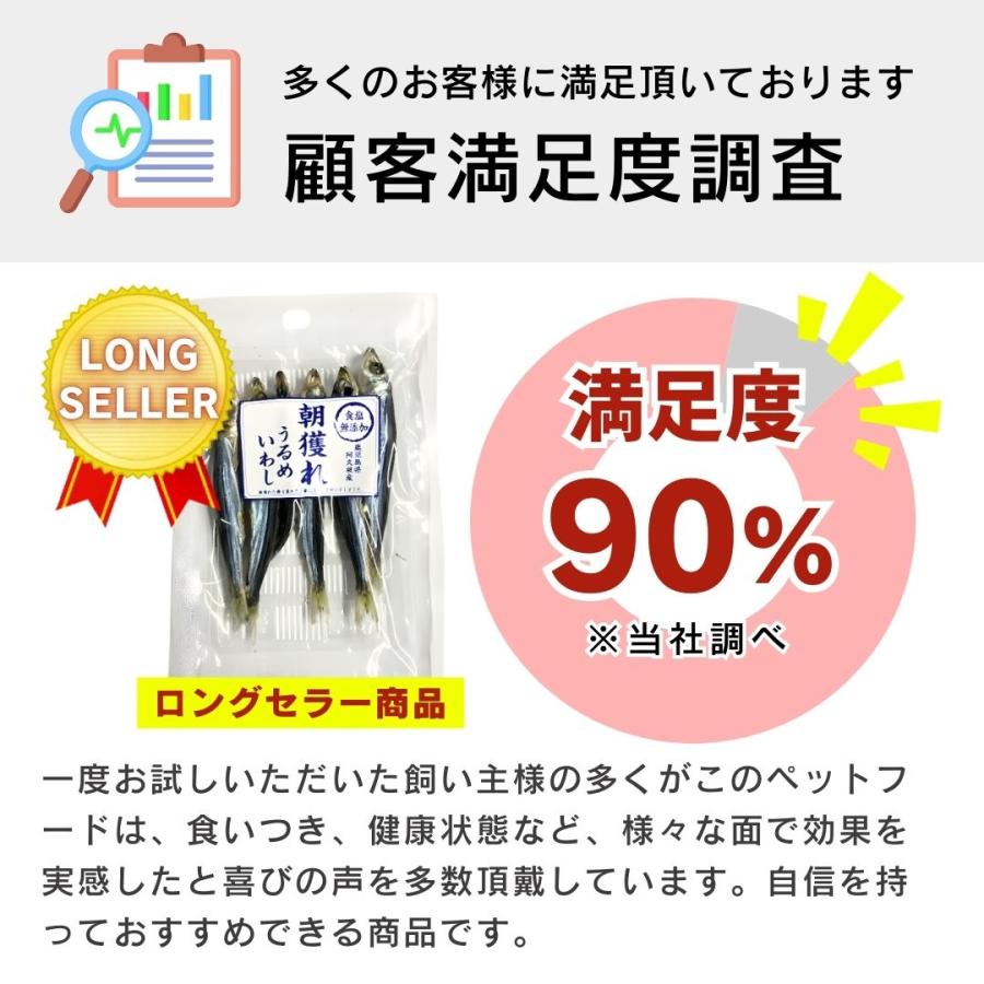 食塩無添加 朝獲れ うるめいわし 鹿児島県阿久根産 30g 4袋 10袋 30袋 犬用おやつ 猫用おやつ_8