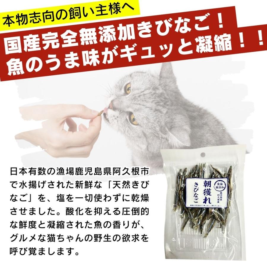 食塩無添加 朝獲れ きびなご 鹿児島県阿久根産 30g 4袋 10袋 30袋 犬用おやつ 猫用おやつ_1