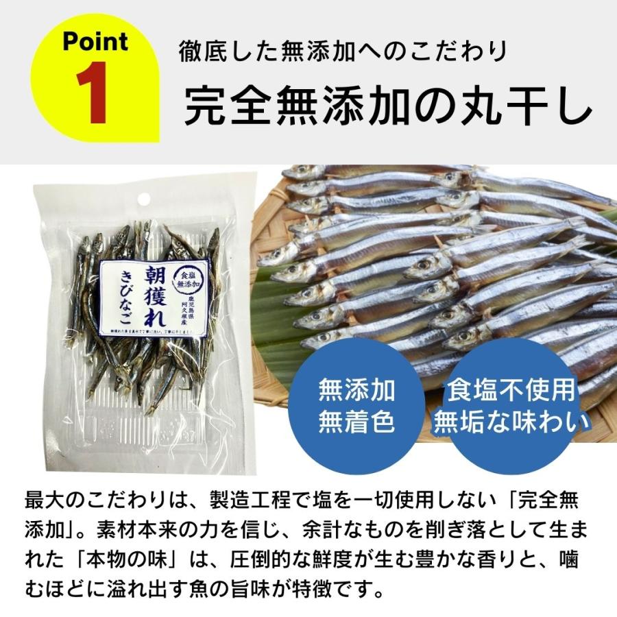 食塩無添加 朝獲れ きびなご 鹿児島県阿久根産 30g 4袋 10袋 30袋 犬用おやつ 猫用おやつ_2