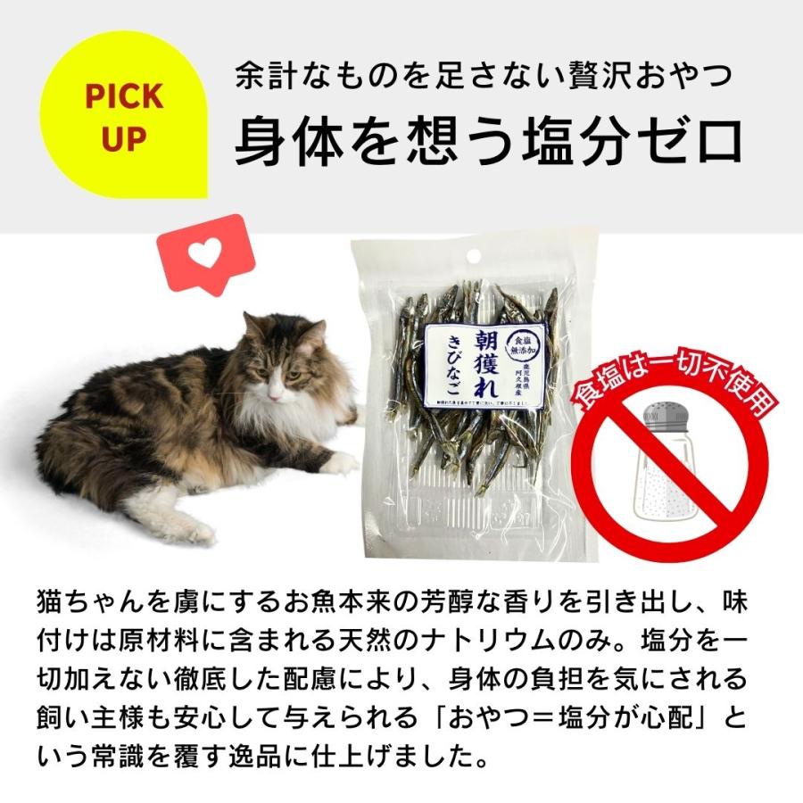 食塩無添加 朝獲れ きびなご 鹿児島県阿久根産 30g 4袋 10袋 30袋 犬用おやつ 猫用おやつ_3