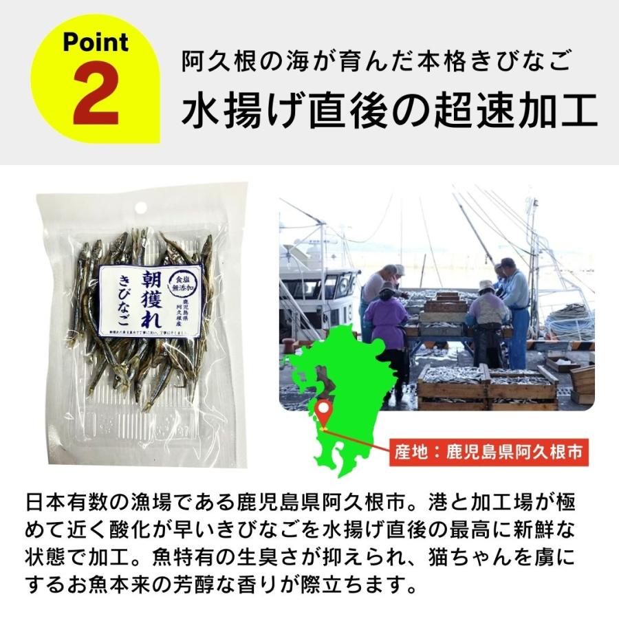 食塩無添加 朝獲れ きびなご 鹿児島県阿久根産 30g 4袋 10袋 30袋 犬用おやつ 猫用おやつ_4