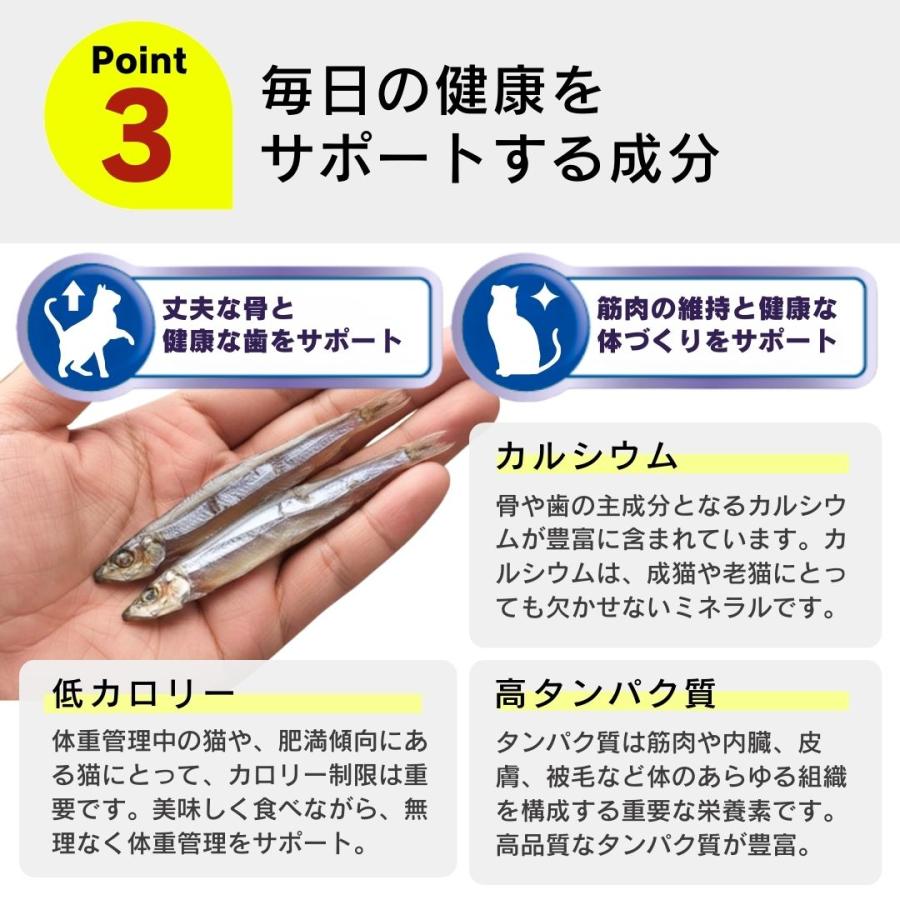 食塩無添加 朝獲れ きびなご 鹿児島県阿久根産 30g 4袋 10袋 30袋 犬用おやつ 猫用おやつ_5