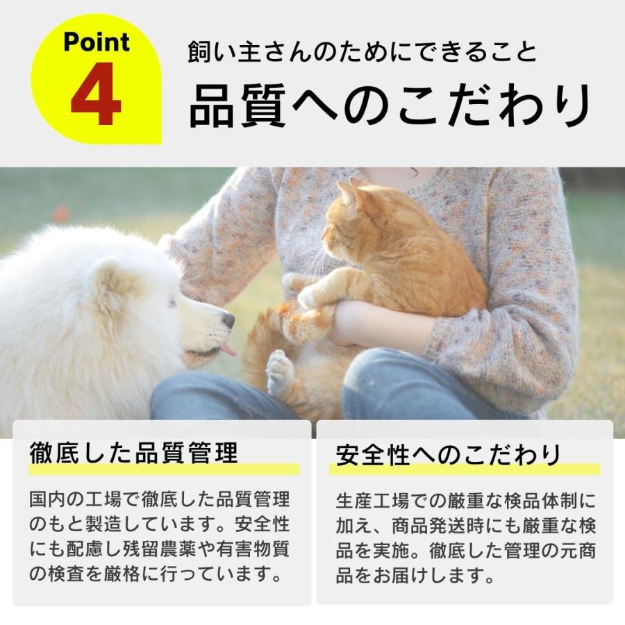 食塩無添加 朝獲れ きびなご 鹿児島県阿久根産 30g 4袋 10袋 30袋 犬用おやつ 猫用おやつ_6
