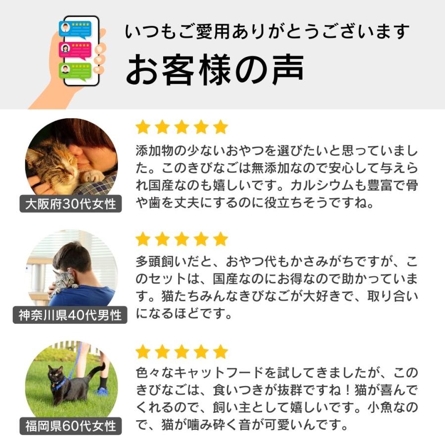 食塩無添加 朝獲れ きびなご 鹿児島県阿久根産 30g 4袋 10袋 30袋 犬用おやつ 猫用おやつ_7
