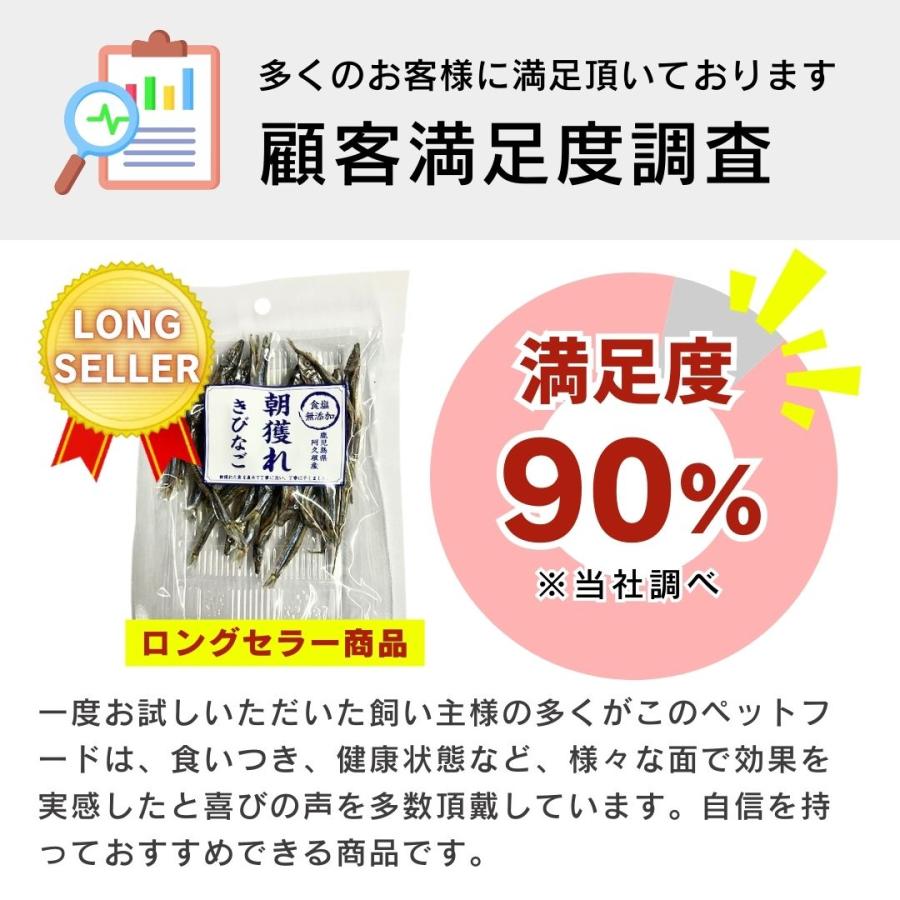 食塩無添加 朝獲れ きびなご 鹿児島県阿久根産 30g 4袋 10袋 30袋 犬用おやつ 猫用おやつ_8