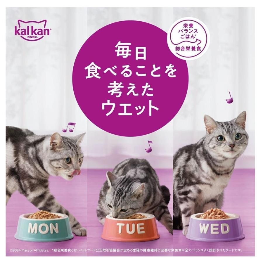 カルカンパウチ 2種のセレクション かつお節入りまぐろとささみ まぐろ 白身魚入り 60g×8袋 20箱セット_4