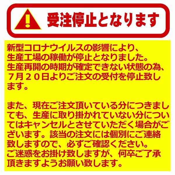 高級感 アシックス 陸上スパイク オーダーシューズ プレート ベーシックデザイン 刺繍なし 取り寄せ 自社 メール便 送料込 Kuljic Com