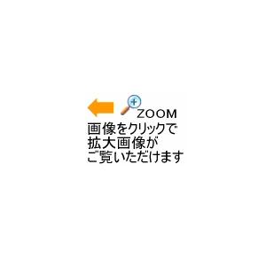 カンタベリー マウスガード 2022年継続モデル [365日出荷][物流](メール便不可)｜uchiyama-sports｜03