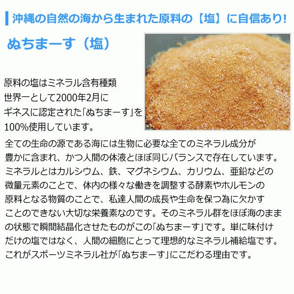 スポーツミネラル 2.5g×90包入り サプリメント ミネラル補給食品 お徳用 [自社](メール便不可)(送料無料)｜uchiyama-sports｜02