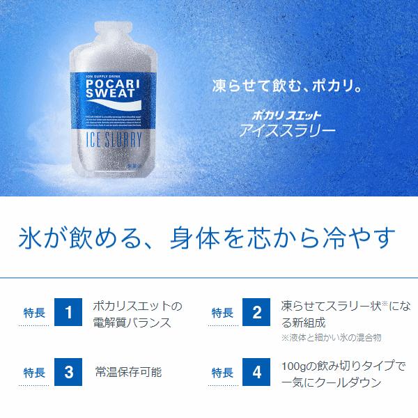 ポカリスエット アイススラリー100g」の人気商品一覧・価格比較 - 価格