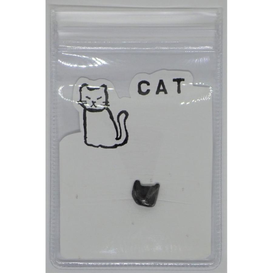 アグダル隕石 0.9g 猫に見える！？ モロッコ Agoudal イミルシル隕石