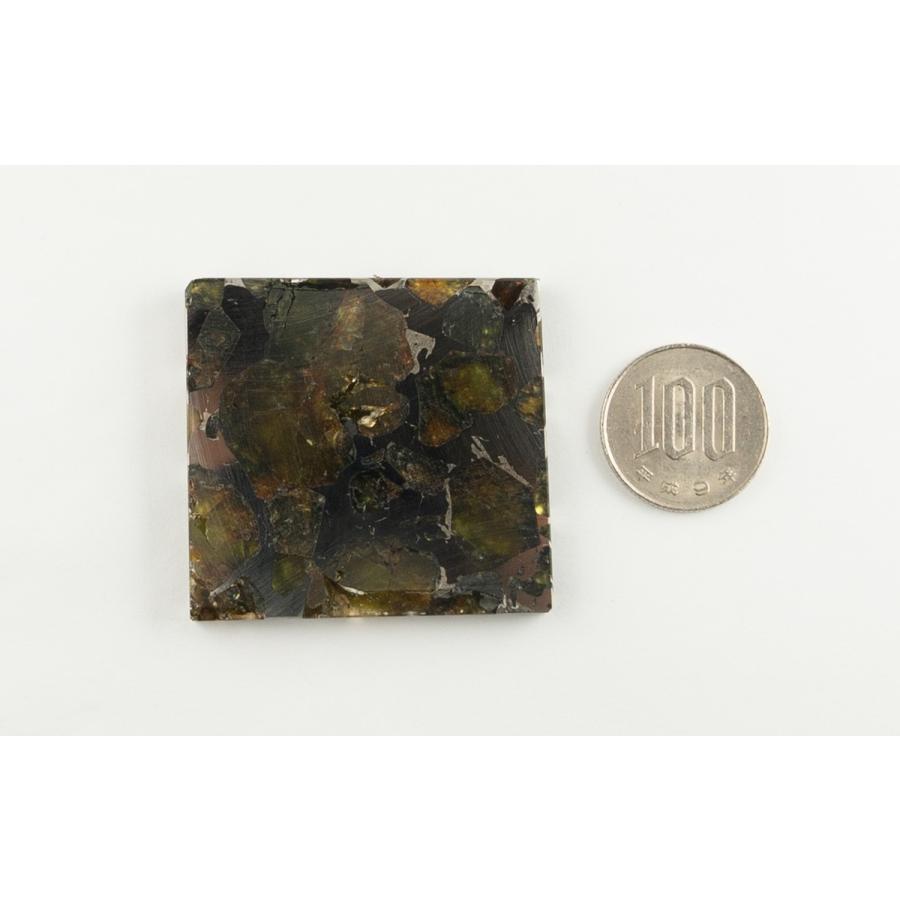 通販限定】エスケル隕石(パラサイト)石鉄隕石 Esquel 48.7g 通販限定】エスケル隕石(パラサイト)石鉄隕石 Esquel 48.7g