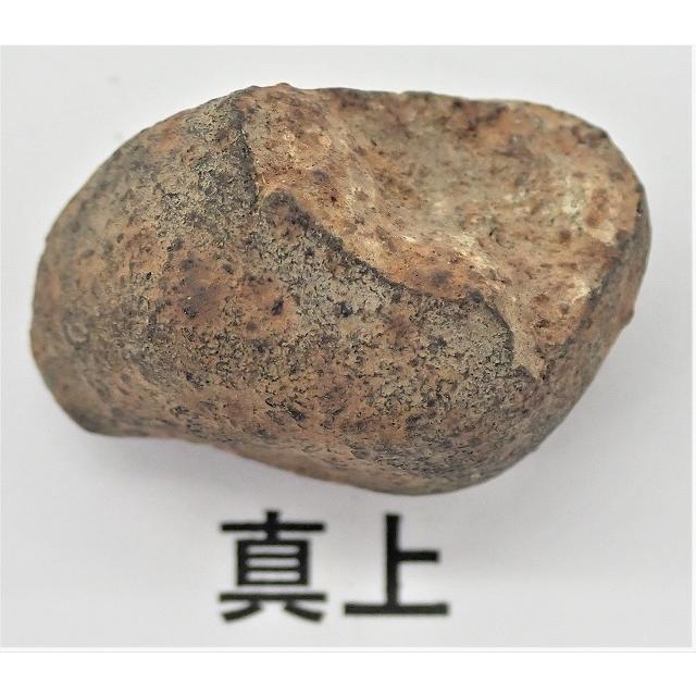ガオ・ギニー隕石（石質隕石） 13.9g Gao-Guenie : 宇宙村