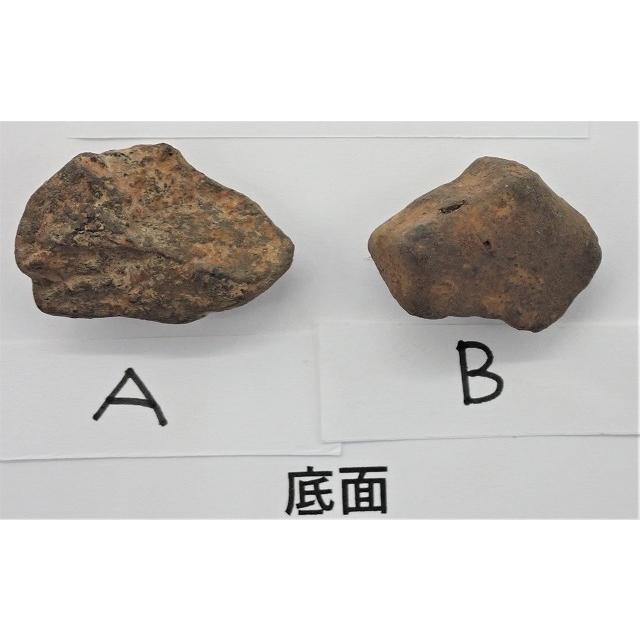 ガオ・ギニー隕石（石質隕石） 8.5〜8.9g Gao-Guenie : 宇宙村 - 通販