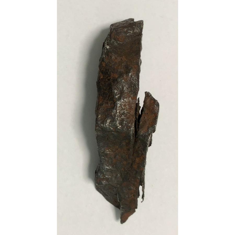 ギベオン 隕石 原石 約114.5g Gibeon meteorite : 宇宙村 - 通販
