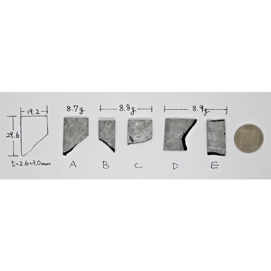 皮膜付きお守りギベオン  8.7-8.9g　 Gibeon meteorite 鉄隕石｜uchumura