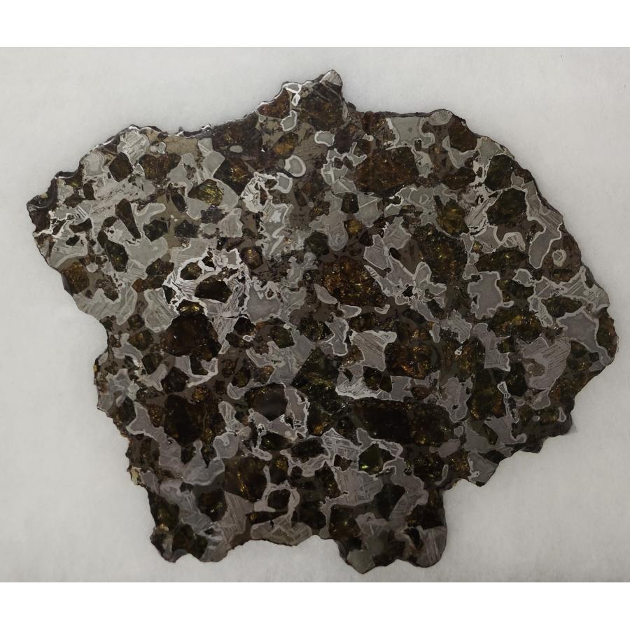 グロリエータ・マウンテン パラサイト隕石 448g GLORIETA MOUNTAIN