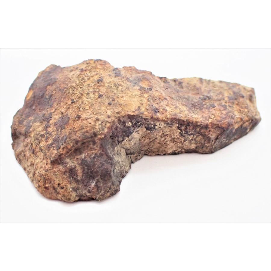 通販限定】Gold Basin ゴールドベイスン 11.9g 石質隕石 コンドライト