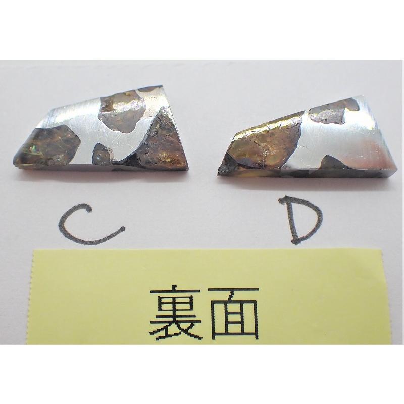 イミラック・パラサイト 【小】1.2~1.3g 1個 石鉄隕石 Imilac Pallasite Meteorite :imi-cut5