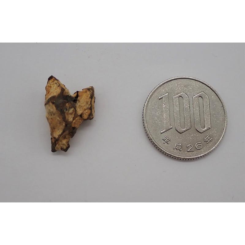 3.8g  カンラン石（風化している）が見えるイミラック・パラサイト原石　　石鉄隕石　Imilac Pallasite Meteorite｜uchumura｜07