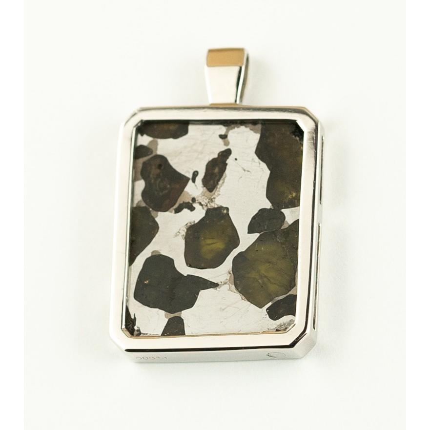 イミラック・パラサイト 石鉄隕石 ペンダントトップ プラチナ 【中】Pt