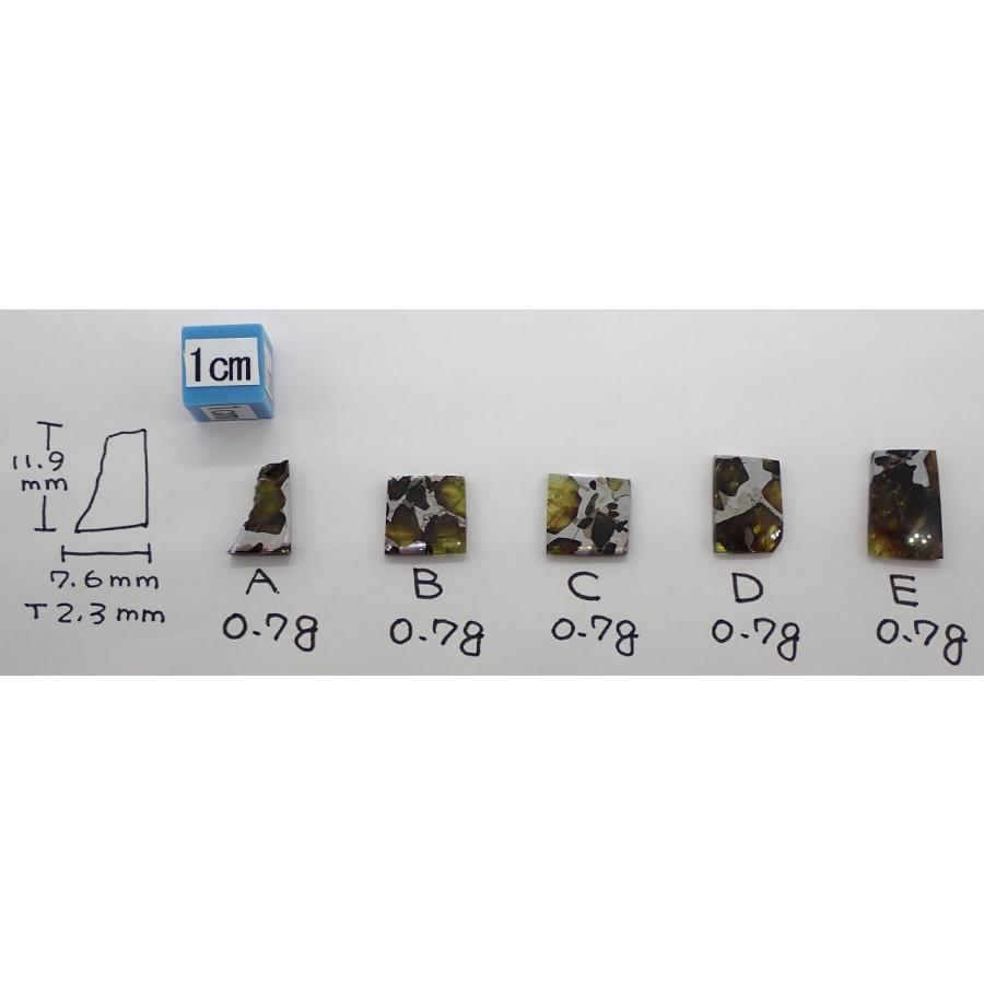 イミラック・パラサイト  0.7g (ミニミニ極小）　石鉄隕石 Imilac Pallasite Meteorite｜uchumura｜03