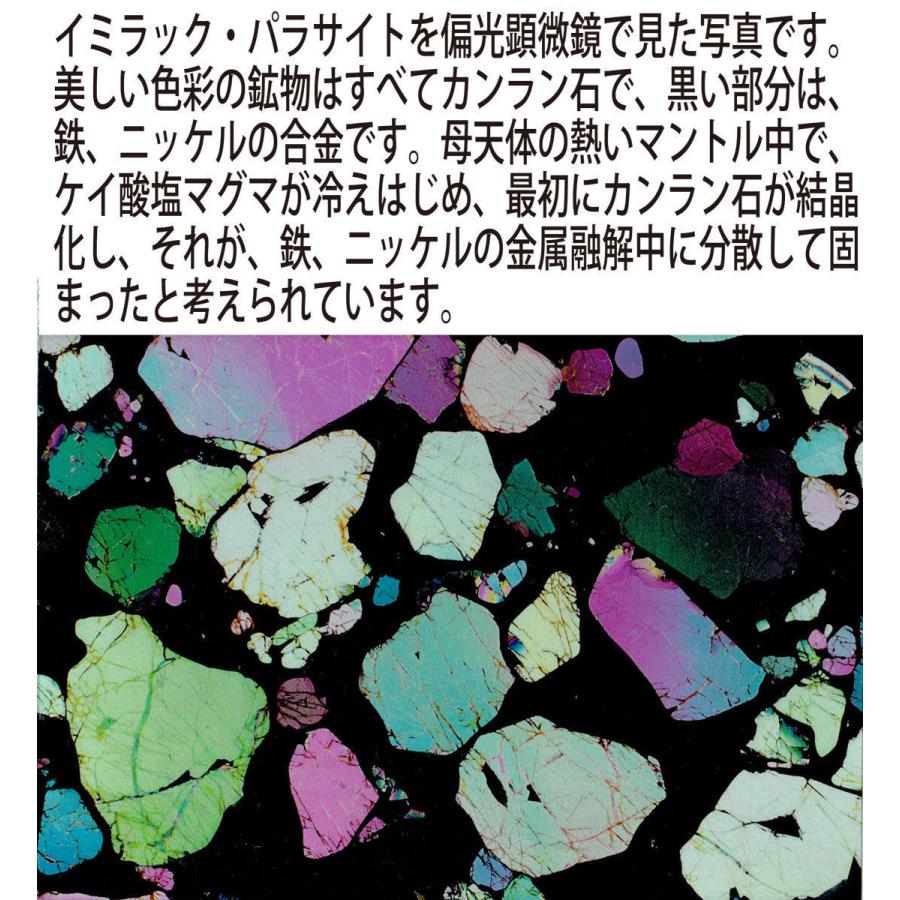 イミラック・パラサイト 【ミニミニ極小】0.5g 1個 石鉄隕石 Imilac