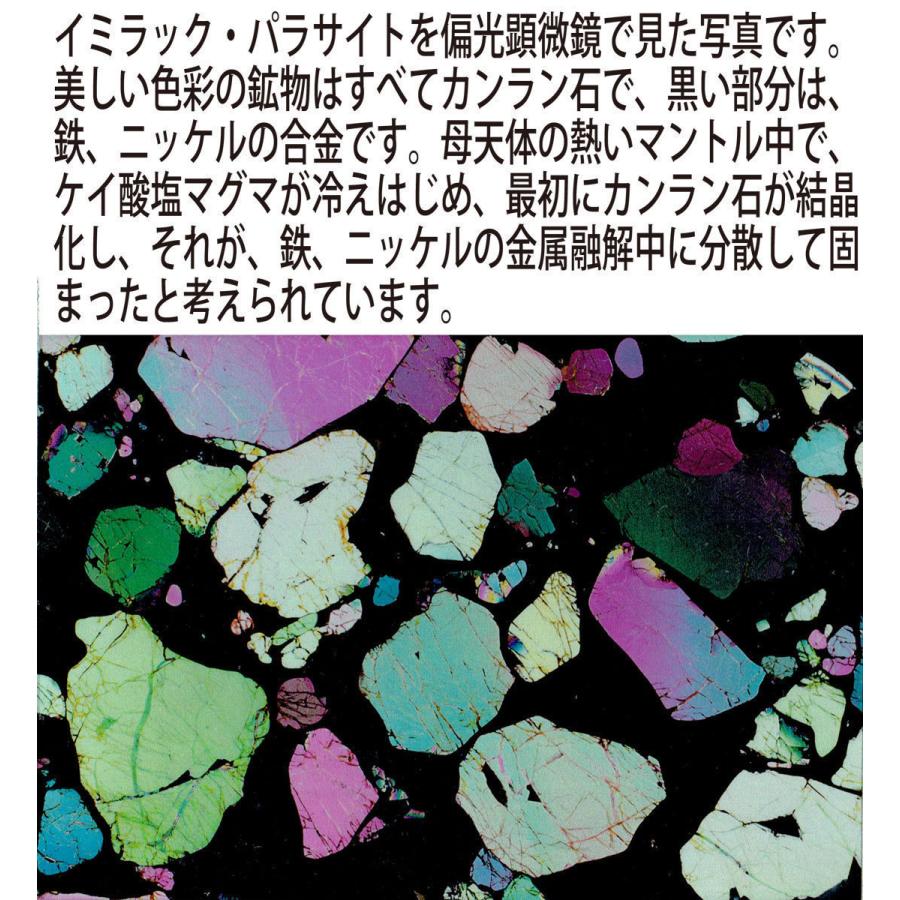 イミラック・パラサイト 8.3g 1個 石鉄隕石 Imilac Pallasite