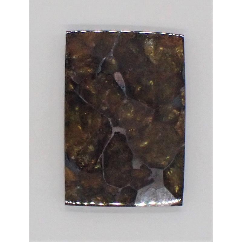 イミラック・パラサイト 8.3g 1個 石鉄隕石 Imilac Pallasite