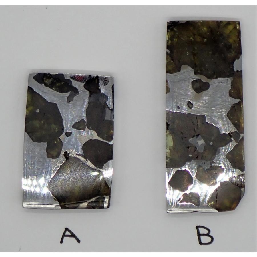 イミラック・パラサイト 9.8〜10.1g 石鉄隕石 Imilac Pallasite
