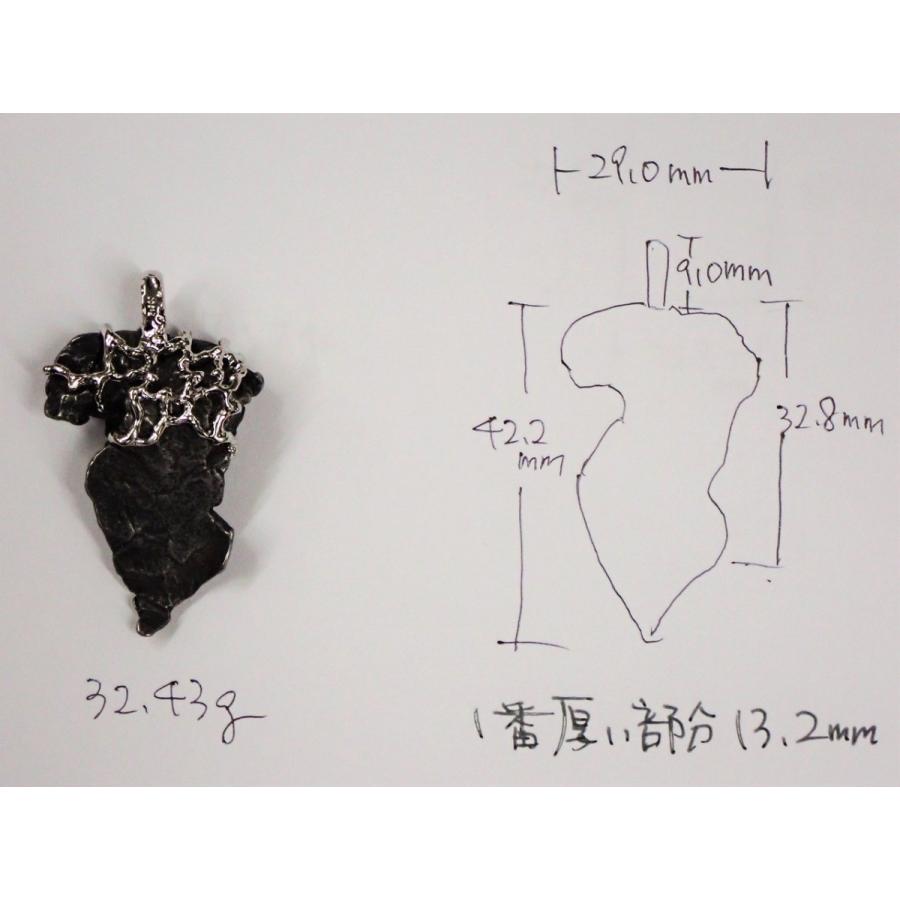 通販限定】カンポ・デル・シエロ隕石+プラチナ ペンダントトップ