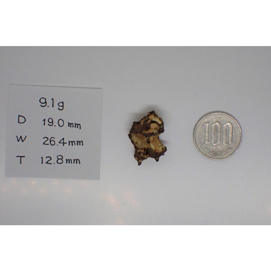 カンラン石(風化している)が見えるイミラック・パラサイト原石 9.1g 石鉄隕石 Imilac Pallasite Meteorite :M7imi:宇宙村 - 通販 - Yahoo!ショッピング カンラン石(風化している)が見えるイミラック・パラサイト原石 9.1g 石鉄隕石 Imilac Pallasite Meteorite :M7imi:宇宙村 - 通販 - Yahoo!ショッピング