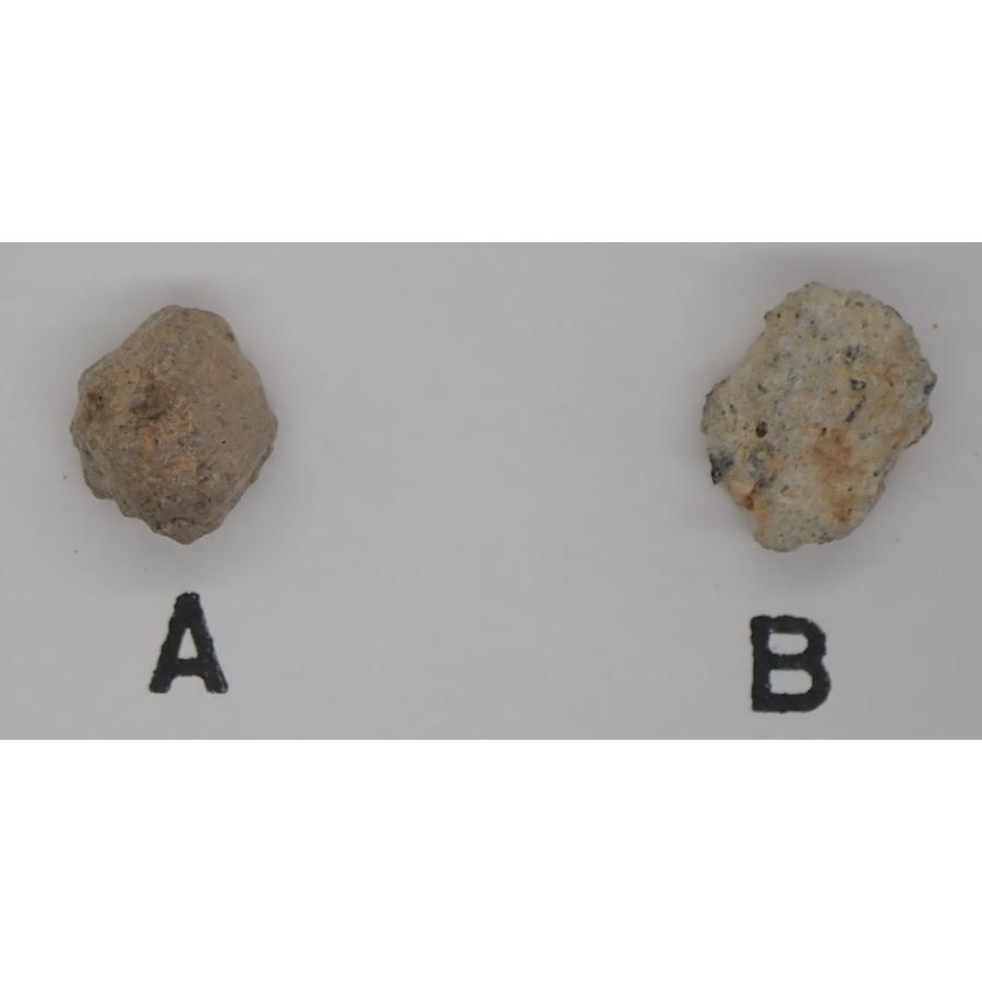 通販限定】月の隕石 NWA 16530 ルナー隕石 1.0g 完全体 ムーン・ロック