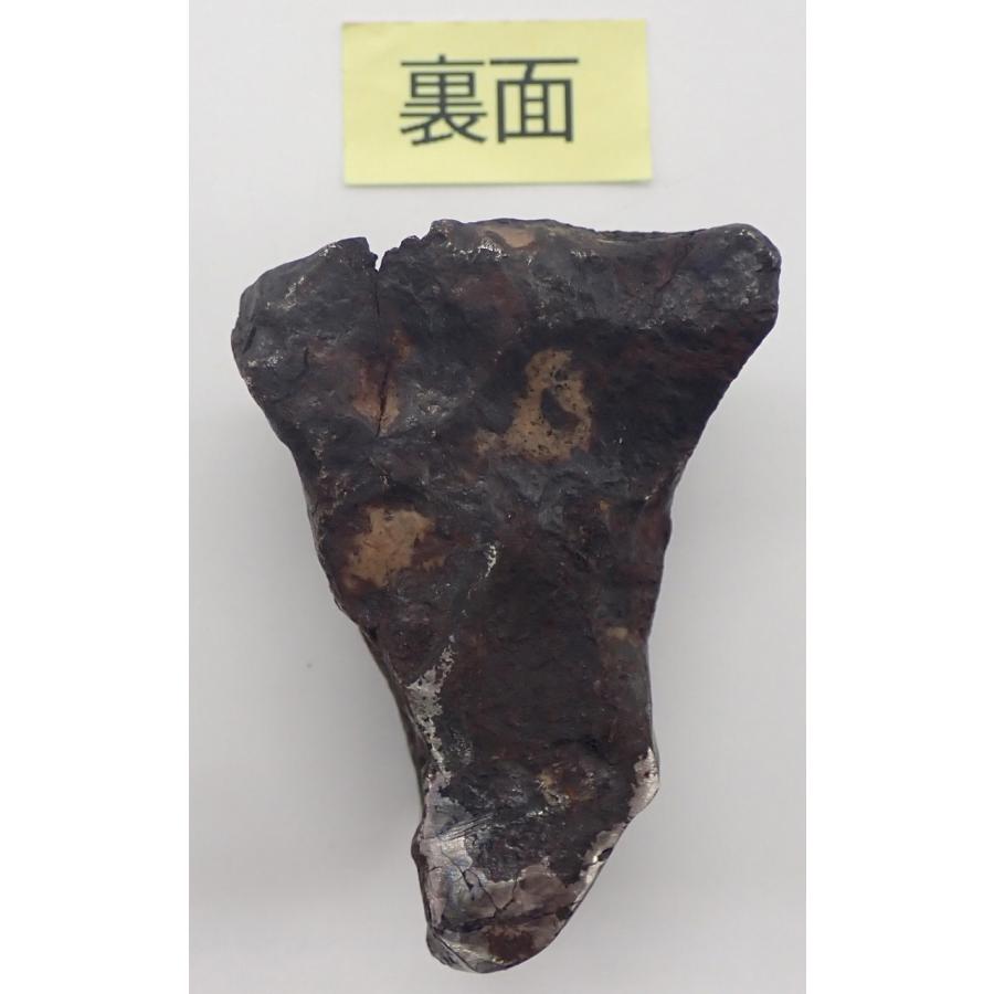 通販限定】オデッサ隕石 95.4g サビあり Odessa Meteorite : 宇宙村